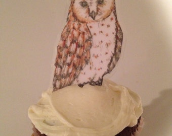Barn Owl Cupcake Toppers