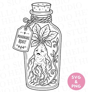 May include: A black and white line art illustration of a glass bottle containing a mandrake root with leaves. The bottle is sealed with a cork and features a hanging rectangular tag with the text Mandrake Root printed on the front surface.