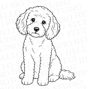 Puede incluir: Una ilustración de arte lineal en blanco y negro de un perro de pelo rizado sentado. El perro tiene orejas caídas, ojos grandes y redondos y una nariz pequeña. El dibujo presenta contornos limpios y marcados sobre un fondo blanco liso.