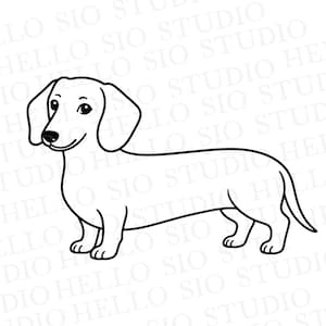 Op de afbeelding: Een zwart-witte lijntekening van een teckel die in profiel staat. De tekening toont een lang lichaam, korte poten, hangende oren en een kleine staart. De tekst HELLO SIO STUDIO wordt in het grijs herhaald op de achtergrond van de afbeelding.