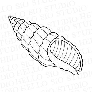 Ilustración vectorial de una concha de barrena en formato SVG / Concha marina