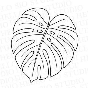 May include: A black and white line art illustration of a single monstera leaf with characteristic fenestrations and splits. The design features a central vein and symmetrical leaf lobes, presented as a clean graphic outline on a plain background.