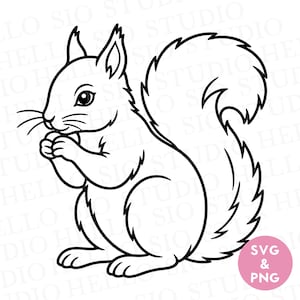 May include: A black and white line art illustration of a squirrel sitting upright and holding a small nut in its front paws. The squirrel has a large, bushy, curved tail and pointed ears. A pink circular badge in the corner displays the text SVG & PNG.