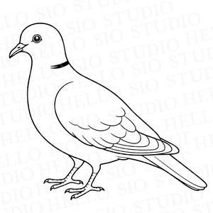 May include: A black and white line art illustration of a collared dove standing in profile. The bird features a distinct dark ring around its neck, a small beak, a round eye, and detailed feather outlines on its wings and tail, presented on a white background.