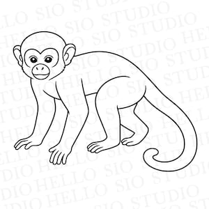 Ekorreapa SVG | Djungeldjur Klippfil