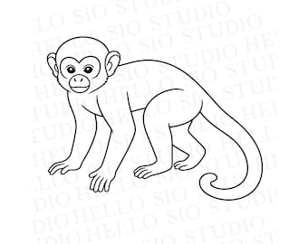 Squirrel Monkey SVG | Jungle Animal Cutting File
