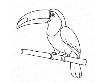 Toucan SVG | Tropical Bird Doodle Illustration