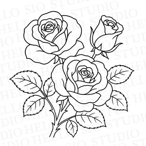 Può includere: Un'illustrazione in bianco e nero a tratto di una composizione floreale con due rose completamente sbocciate e un bocciolo su un unico stelo con diverse foglie seghettate. Lo sfondo contiene un tenue testo in filigrana ripetuto.