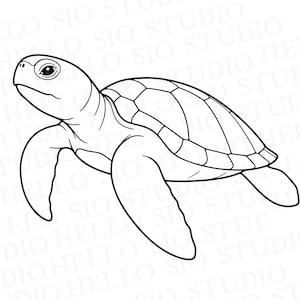 Tortue marine SVG | Dessin vectoriel d'animal marin