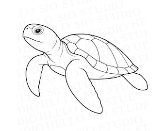 Sea Turtle SVG | Marine Animal Vector Drawing