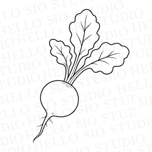 Pode incluir: Uma ilustração de arte linear em preto e branco de um rabanete com uma raiz redonda e três folhas. O desenho apresenta contornos limpos e arrojados, com uma marca d'água repetitiva que diz HELLO SIO STUDIO em todo o fundo da imagem.