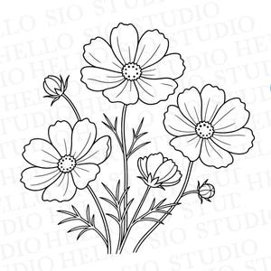 Può includere: Un'illustrazione a tratto in bianco e nero di un bouquet di fiori di cosmea. Il disegno presenta tre fiori completamente sbocciati con centri dettagliati, due boccioli più piccoli e un fogliame sottile e piumato su steli slanciati.
