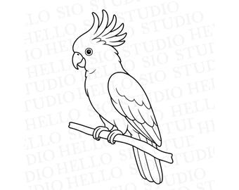Cockatoo SVG | Tropical Bird Vector Graphic