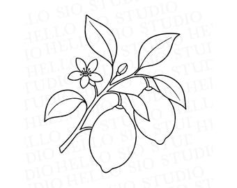Lemon Branch SVG | Summer Lemons Cutting File