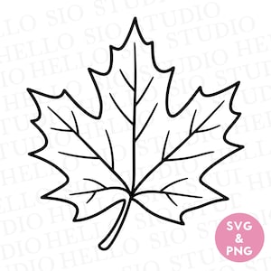 May include: A black and white line art illustration of a maple leaf with five distinct lobes and a central stem. The design features clear, bold outlines and internal vein details. A small pink circle in the bottom right corner contains the text SVG & PNG.