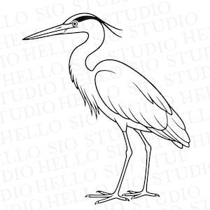 May include: A black and white line art illustration of a great blue heron standing in profile. The bird features a long, pointed beak, a slender neck with textured plumage, and thin legs. The background contains a repeating watermark text.