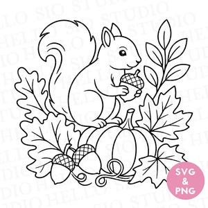 May include: A black and white line art illustration featuring a squirrel holding an acorn, sitting atop a pumpkin surrounded by oak leaves and additional acorns. A pink circular badge in the bottom right corner contains the text SVG & PNG.