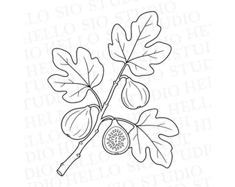Fig Branch SVG | Italian Fruit Vector Clipart