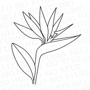 Bird of Paradise SVG | Tropical Flower Cricut Template