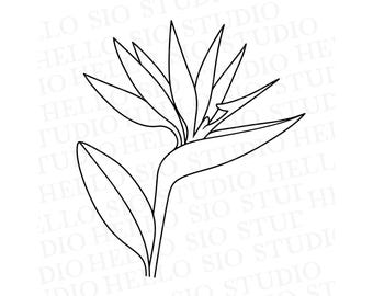 Bird of Paradise SVG | Tropical Flower Cricut Template