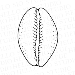 May include: A black and white line art illustration of a cowrie shell. The shell features a smooth, oval-shaped exterior with a central longitudinal slit surrounded by small, evenly spaced teeth-like ridges along the inner edges of the opening.