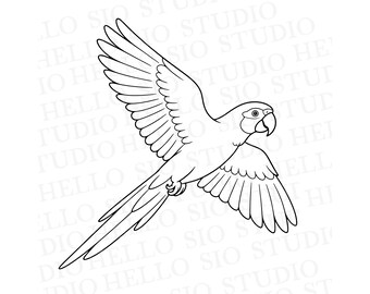 Flying Parrot SVG | Tropical Bird Clip Art