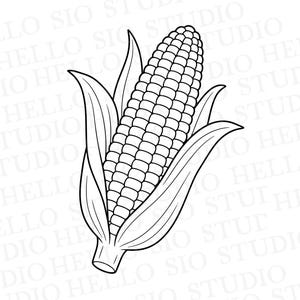 May include: A black and white line art illustration of a single ear of corn with husks. The corn cob features a grid pattern of kernels, and the surrounding leaves are depicted with clear outlines. The text HELLO SIO STUDIO is visible in the background.