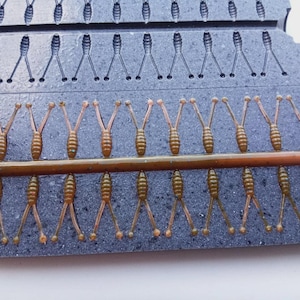 May include: A close-up of a gray mold with multiple cavities, each shaped like a small insect. The mold contains several brown, insect-shaped fishing lures. The lures are arranged in rows, ready for use in fishing.