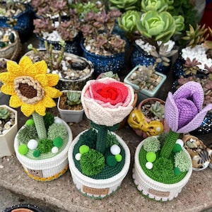 May include: A collection of handmade crochet flowers, including a yellow sunflower, a red and white rose, and a purple tulip. Each flower is potted in a white basket with green and white accents. Other potted succulents are in the background.