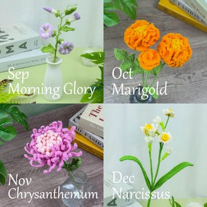 May include: A collection of handmade crochet flowers, including Morning Glory, Marigold, Chrysanthemum, and Narcissus. Each flower is displayed in a vase, with text labels indicating the month and flower name. The flowers are in shades of purple, orange, pink, and white.