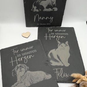 Puede incluir: Tres placas conmemorativas rectangulares de pizarra negra con im&aacute;genes grabadas de un caballo, un gato y un perro. Cada placa incluye el texto en alem&aacute;n "F&uuml;r immer in unseren Herzen", un nombre de mascota y fechas sobre fondo blanco.