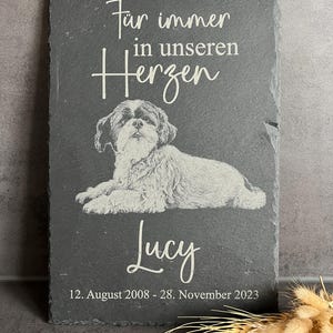 Puede incluir: Una placa rectangular de pizarra gris oscuro con la imagen grabada de un perro tumbado. El texto "F&uuml;r immer in unseren Herzen", el nombre "Lucy" y las fechas "12. August 2008 - 28. November 2023" aparecen en letras blancas.