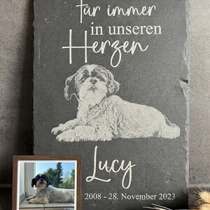 Puede incluir: Una placa rectangular de pizarra gris oscuro con el retrato grabado de un perro Shih Tzu. El texto dice "F&uuml;r immer in unseren Herzen", el nombre "Lucy" y las fechas "2008 - 28. November 2023". Incluye una peque&ntilde;a foto enmarcada.