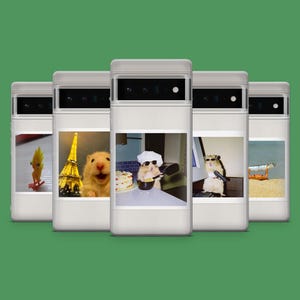 May include: Five white phone cases, each with a different image. The images feature a frog on a skateboard, the Eiffel Tower, a hamster, a hamster chef, and a hamster with a gun. The cases are set against a green backdrop.