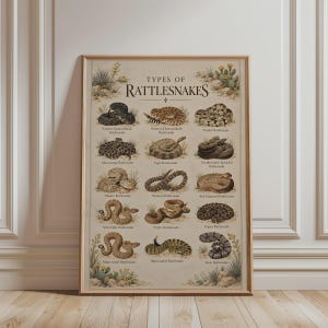 Rattlesnake Types Poster, Beige Desert Wall Art, Educational Snake Print