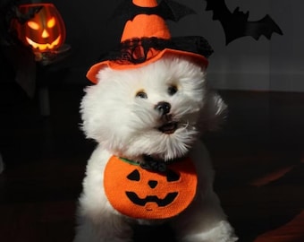 May include: A fluffy white dog dressed in a Halloween costume. The dog wears an orange witch hat with black lace and a matching pumpkin bib. A carved pumpkin and bat silhouettes are in the background, creating a festive Halloween scene.