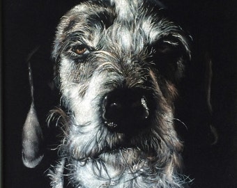 Custom Pet Black Velvet Portrait -  11 x 14