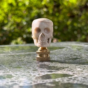 Bone skull lamp lamp finial