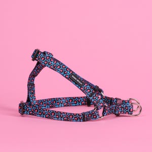 The Willow Step-In Dog Harness - Easy On Pet Vest, No-Pull Walking Control, Adjustable Fit, Comfortable Wear, Multiple Sizes | Neon Moon