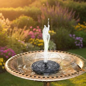Pompa per fontana solare: vasca per uccelli, laghetto e decorazione da giardino