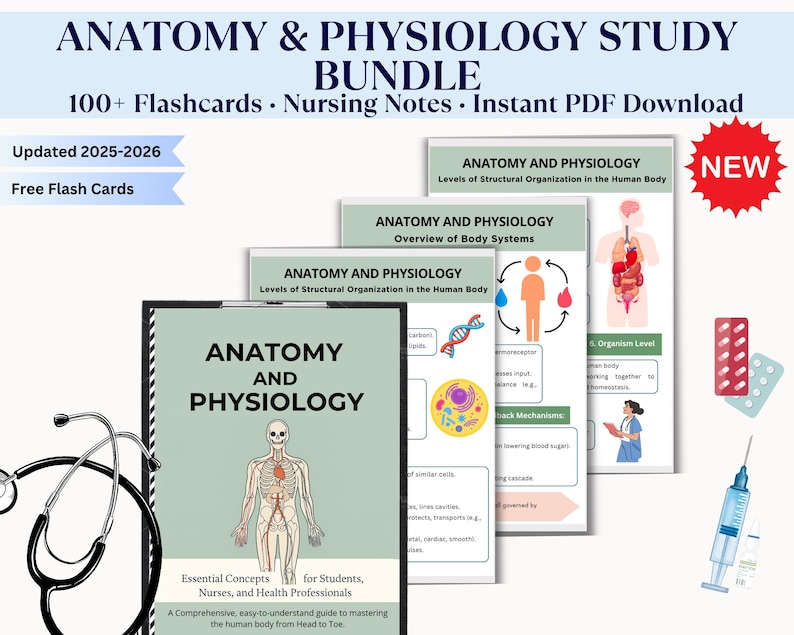 May include: Anatomy and Physiology study bundle with flashcards, nursing notes, and instant PDF download. The image shows a textbook, flashcards, and medical illustrations. The text includes "Updated 2025-2026" and "Free Flash Cards."