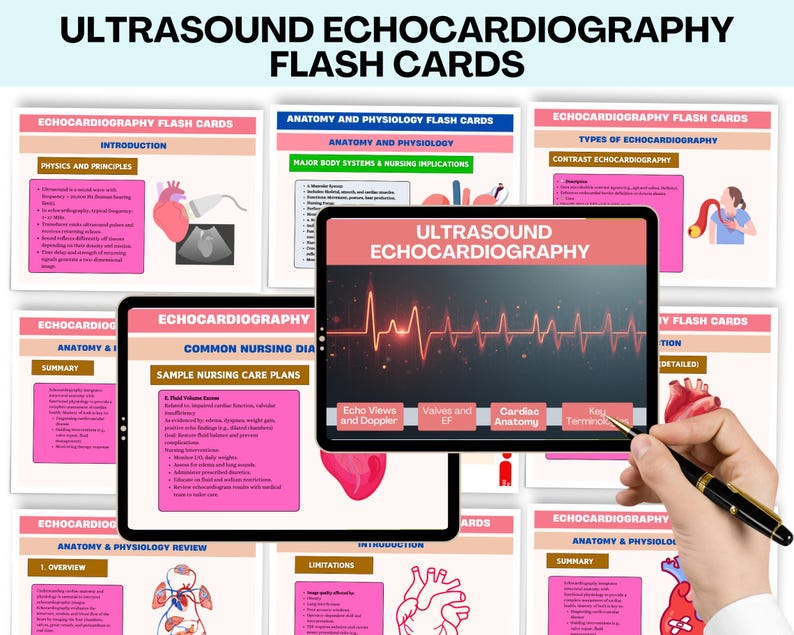Ultrasound Echocardiography Flash Cards | Cardiac Echo Study Guide ...