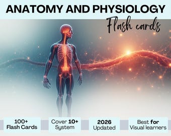 Anatomy & Physiology Flashcards Bundle | A and P Notes for Nursing Students | Body Systems flashcards | Complete Digital PDF