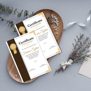 Editable Certificate of Achievement – Printable Award Template | Instant Digital Download | Canva & PDF Format | Customizable Certificate