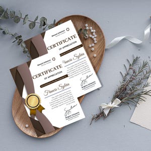 Certificate of Appreciation Template – Editable Digital Download | Printable Thank You Award | Canva & PDF Format | Customizable Certificate