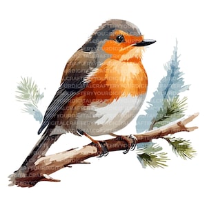 12 Christmas Robin SVG, Robin Bird Clipart, Robin Images, Christmas Gift, Christmas PNG, Christmas SVG, Robin Christmas Card
