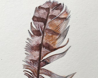 Feather.
