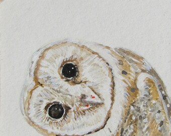 Owl