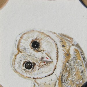 Owl