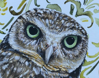 Owl.